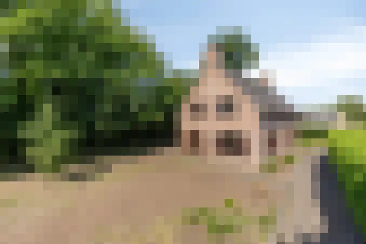Roskammersteeg 3 Lunteren thumbnail 4
