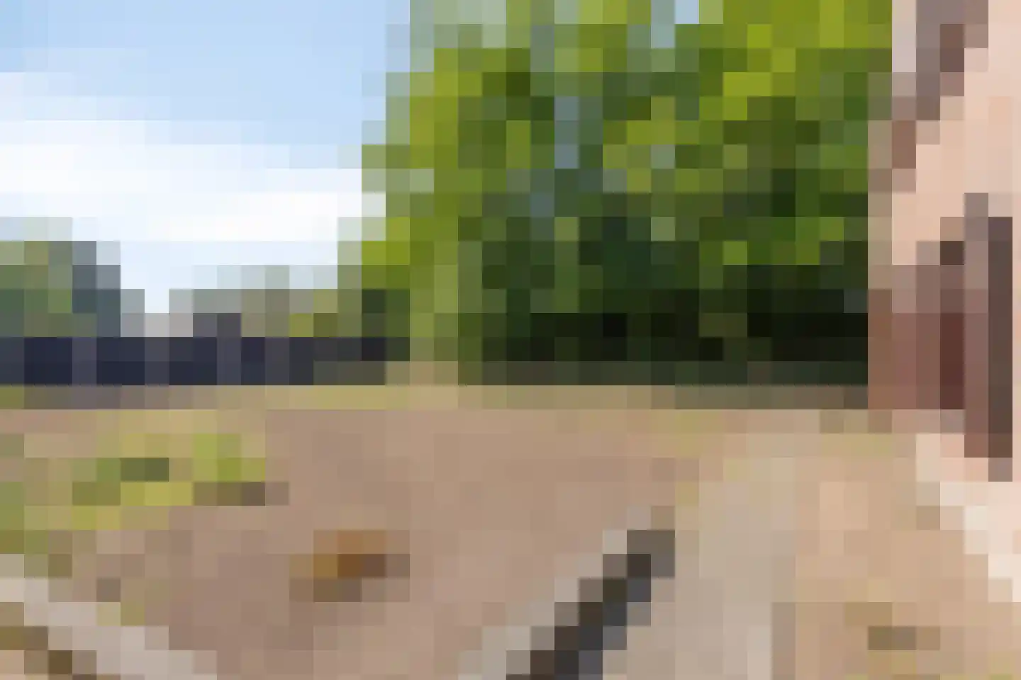 Roskammersteeg 3 Lunteren thumbnail 40