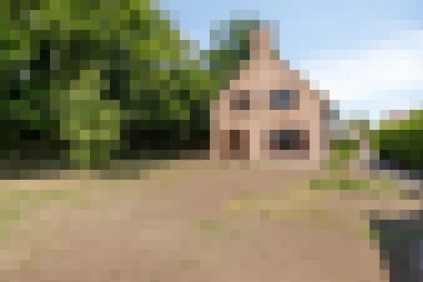 Roskammersteeg 3 Lunteren thumbnail 42