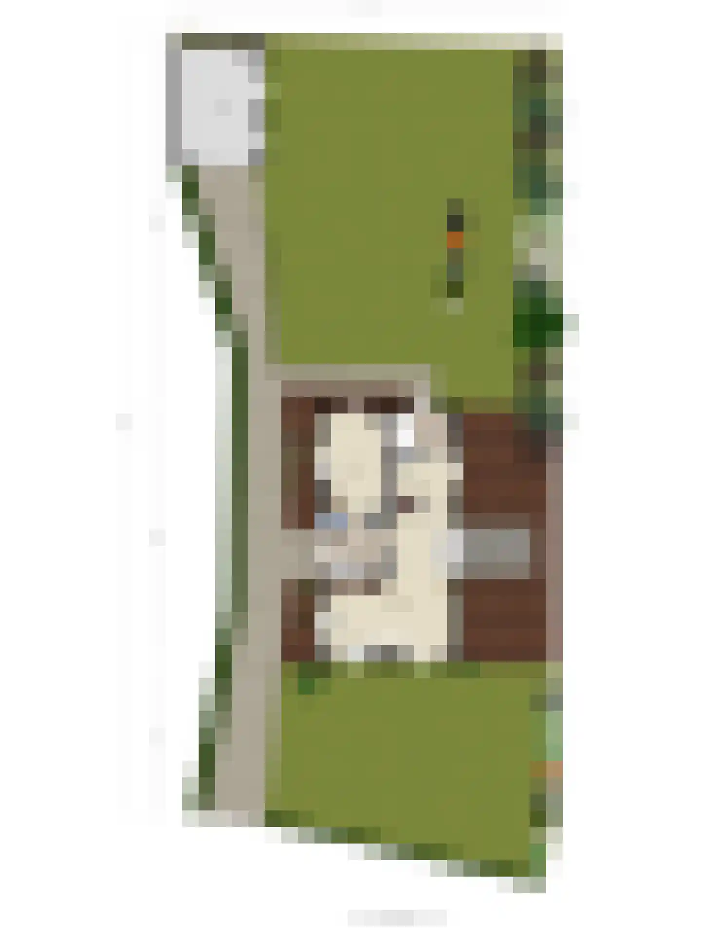 Roskammersteeg 3 Lunteren thumbnail 58