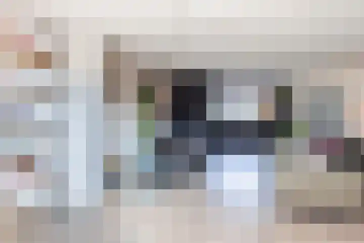 Roskamp 12 Rijen thumbnail 13