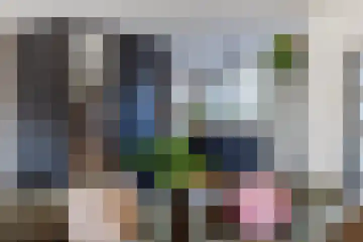 Roskamp 12 Rijen thumbnail 14
