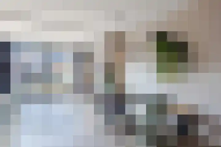 Roskamp 12 Rijen thumbnail 15
