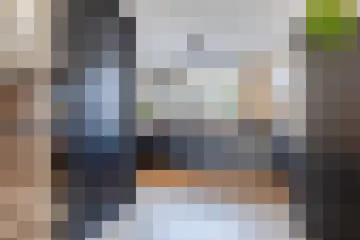 Roskamp 12 Rijen thumbnail 16