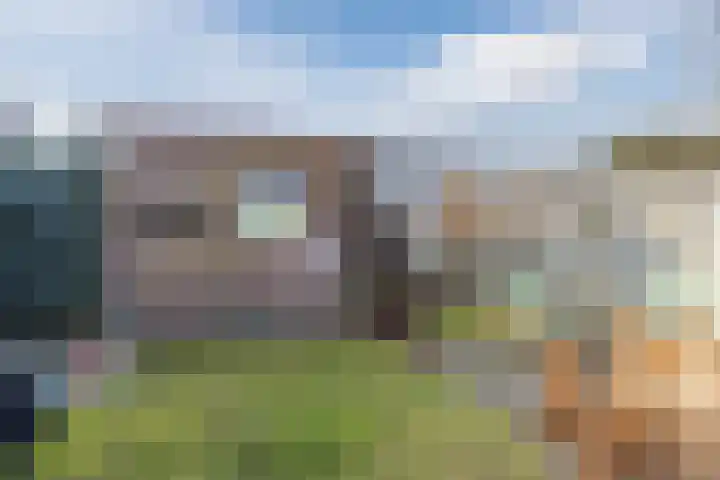 Roskamp 12 Rijen thumbnail 22