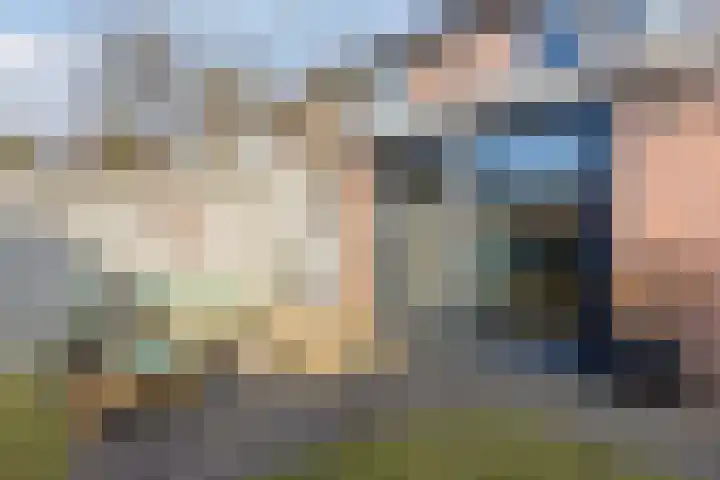 Roskamp 12 Rijen thumbnail 23