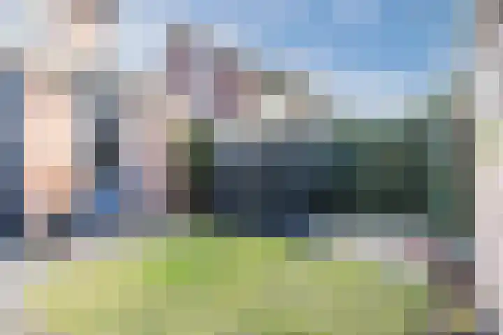 Roskamp 12 Rijen thumbnail 24