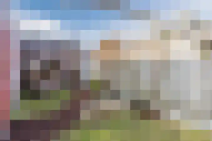 Roskamp 12 Rijen thumbnail 25