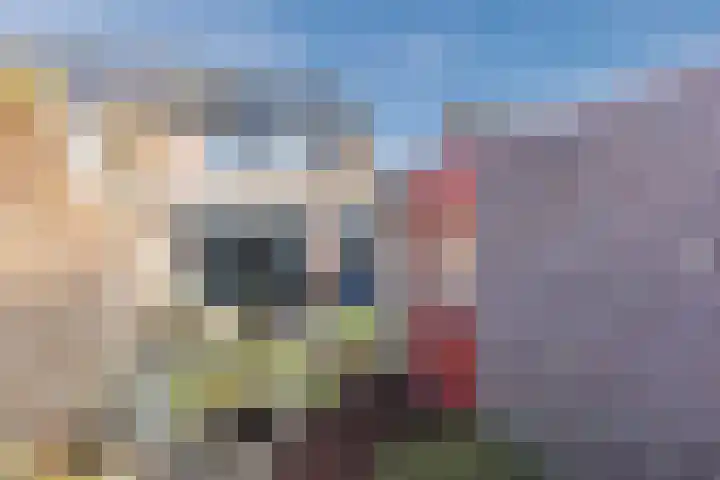 Roskamp 12 Rijen thumbnail 26