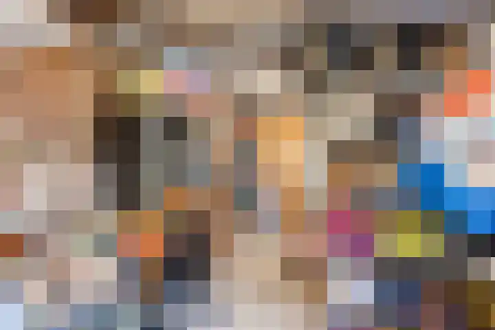 Roskamp 12 Rijen thumbnail 27