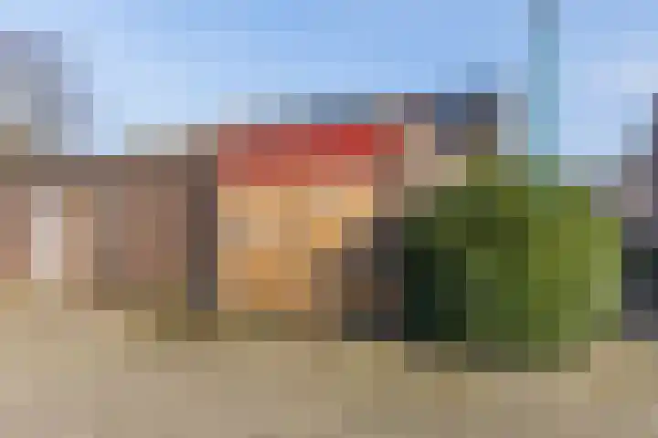 Roskamp 12 Rijen thumbnail 28