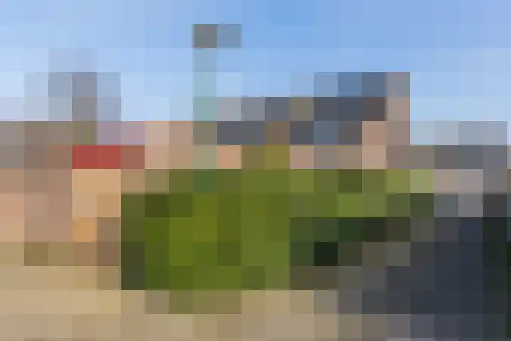 Roskamp 12 Rijen thumbnail 29