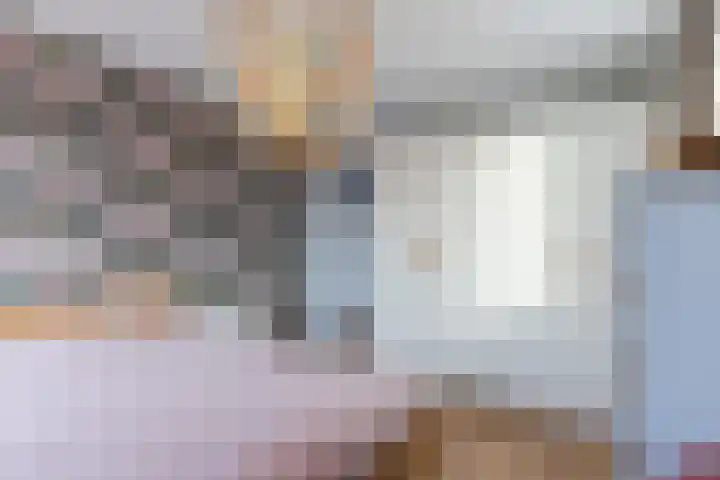 Roskamp 12 Rijen thumbnail 32