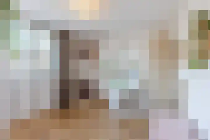 Roskamp 12 Rijen thumbnail 33