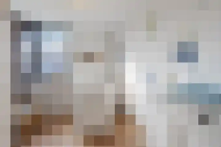 Roskamp 12 Rijen thumbnail 35