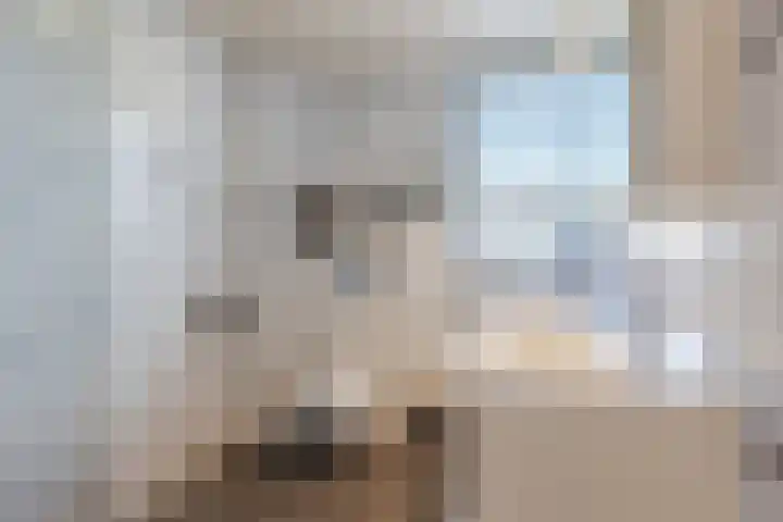 Roskamp 12 Rijen thumbnail 37