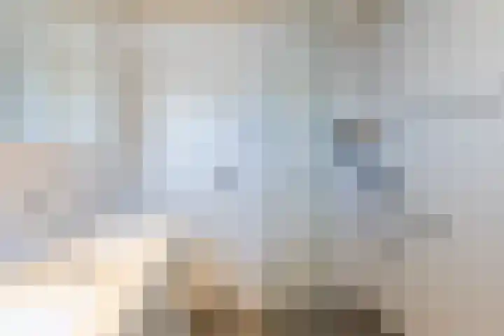 Roskamp 12 Rijen thumbnail 39
