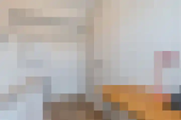 Roskamp 12 Rijen thumbnail 40