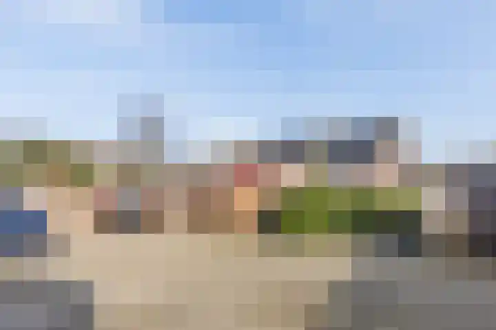 Roskamp 12 Rijen thumbnail 44