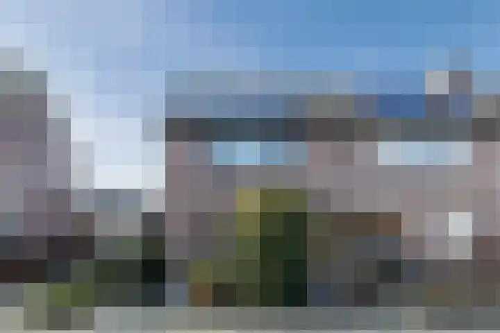 Roskamp 12 Rijen thumbnail 45