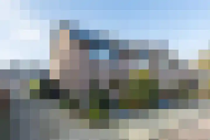 Roskamp 12 Rijen thumbnail 46