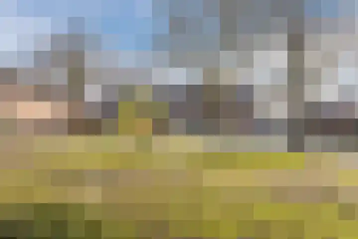 Roskamp 12 Rijen thumbnail 49