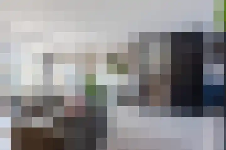 Roskamp 12 Rijen thumbnail 8