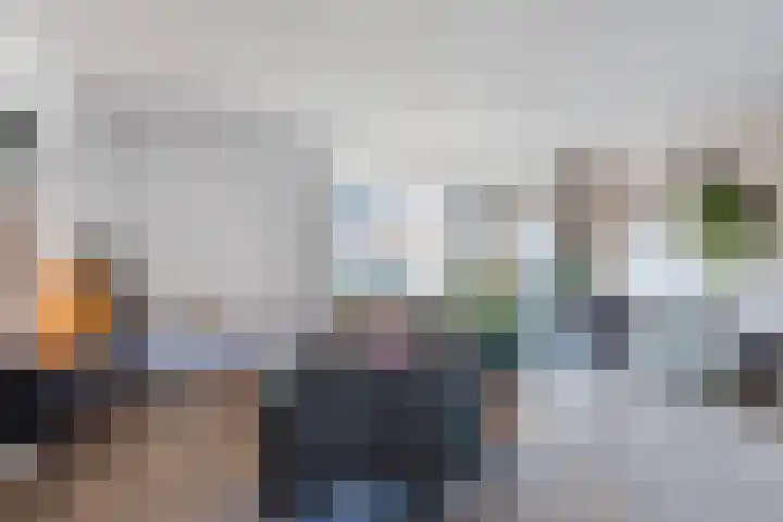 Roskamp 12 Rijen thumbnail 9
