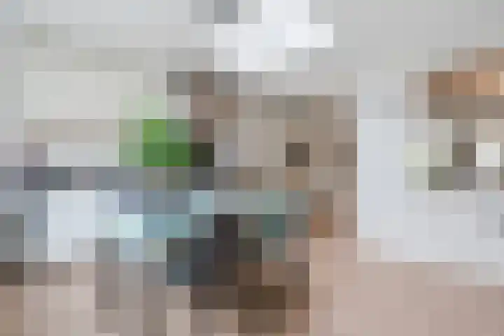 Roskamp 21 Heerde thumbnail 11