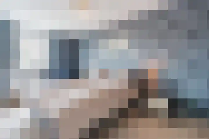Roskamp 21 Heerde thumbnail 17