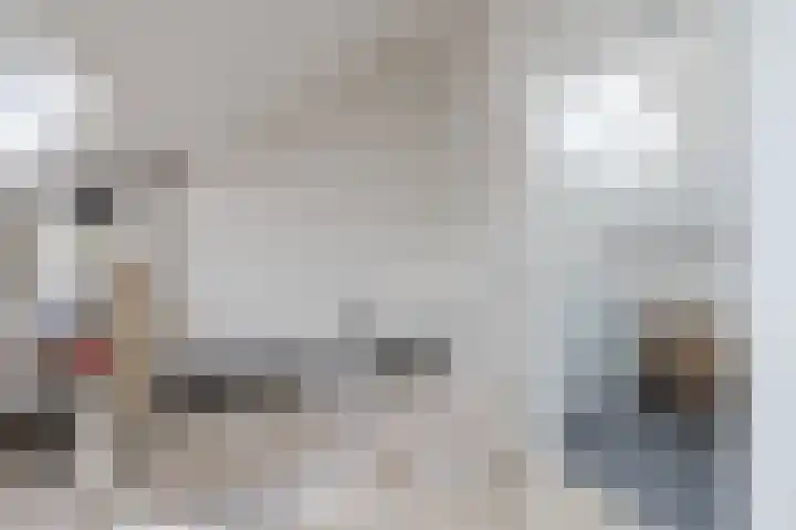 Roskamp 21 Heerde thumbnail 30