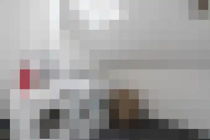 Roskamp 21 Heerde thumbnail 31
