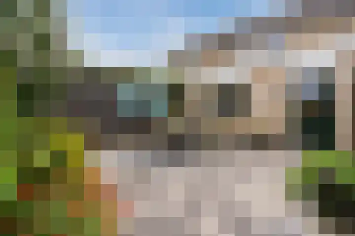 Roskamp 21 Heerde thumbnail 33