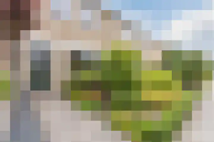 Roskamp 21 Heerde thumbnail 35