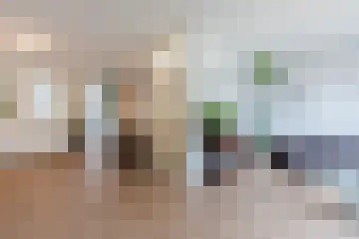 Roskamp 21 Heerde thumbnail 4