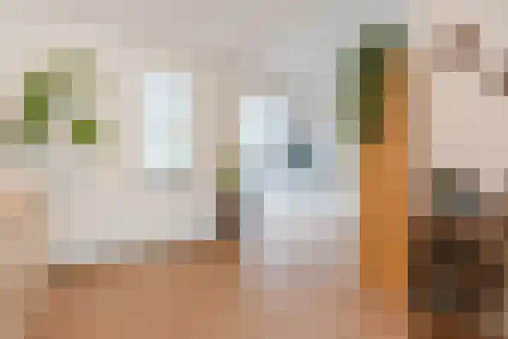 Roskamp 21 Heerde thumbnail 5