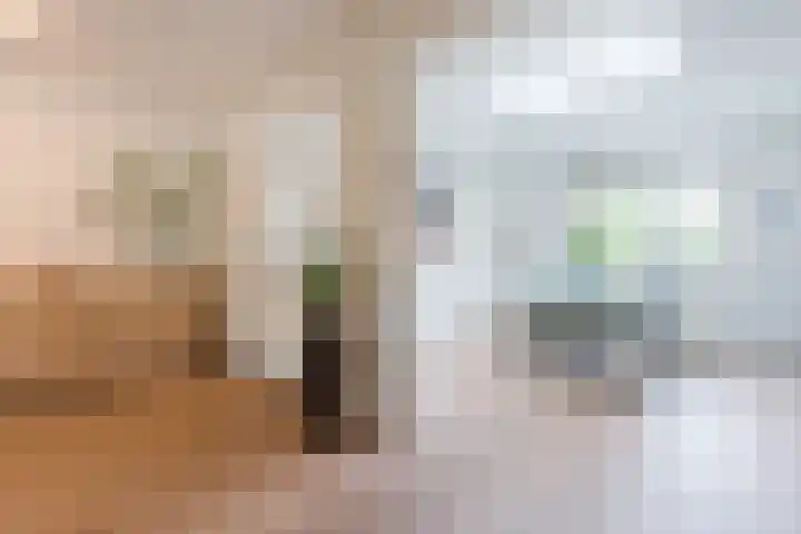 Roskamp 21 Heerde thumbnail 6