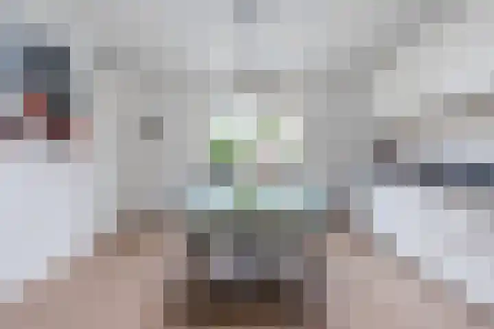 Roskamp 21 Heerde thumbnail 7