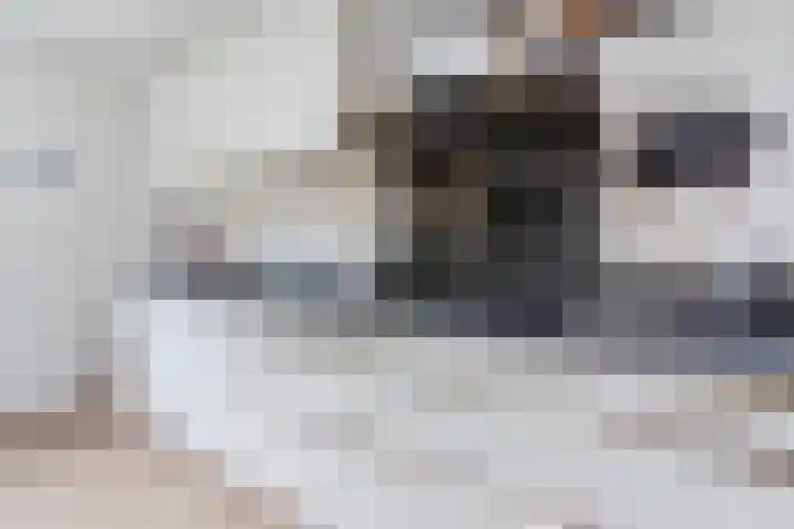 Roskamp 21 Heerde thumbnail 8