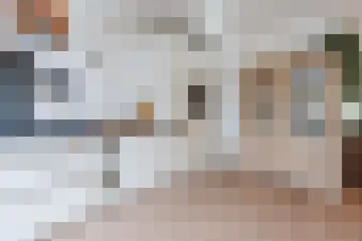 Roskamp 21 Heerde thumbnail 9