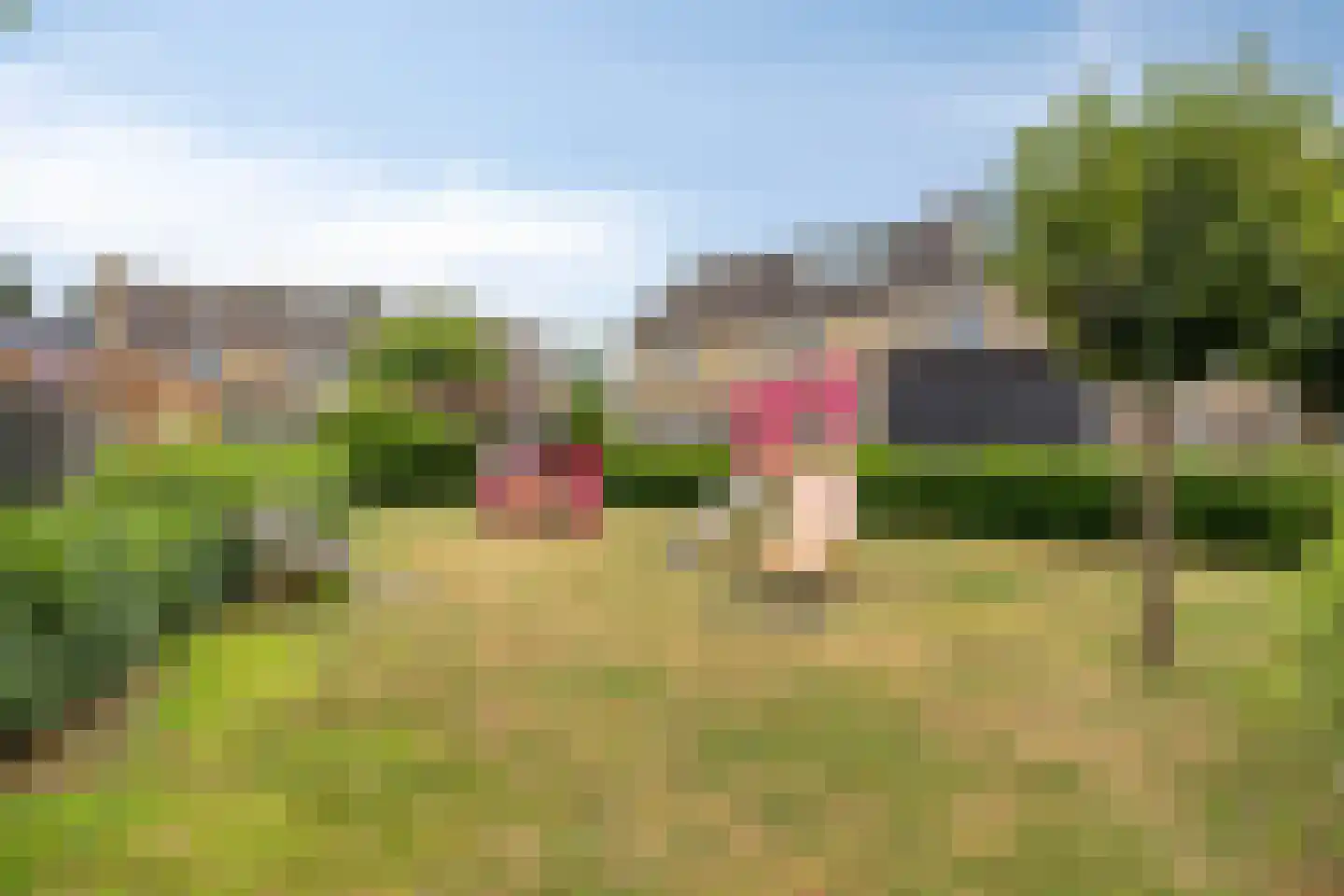 Roskamp 41 Heerde thumbnail 32