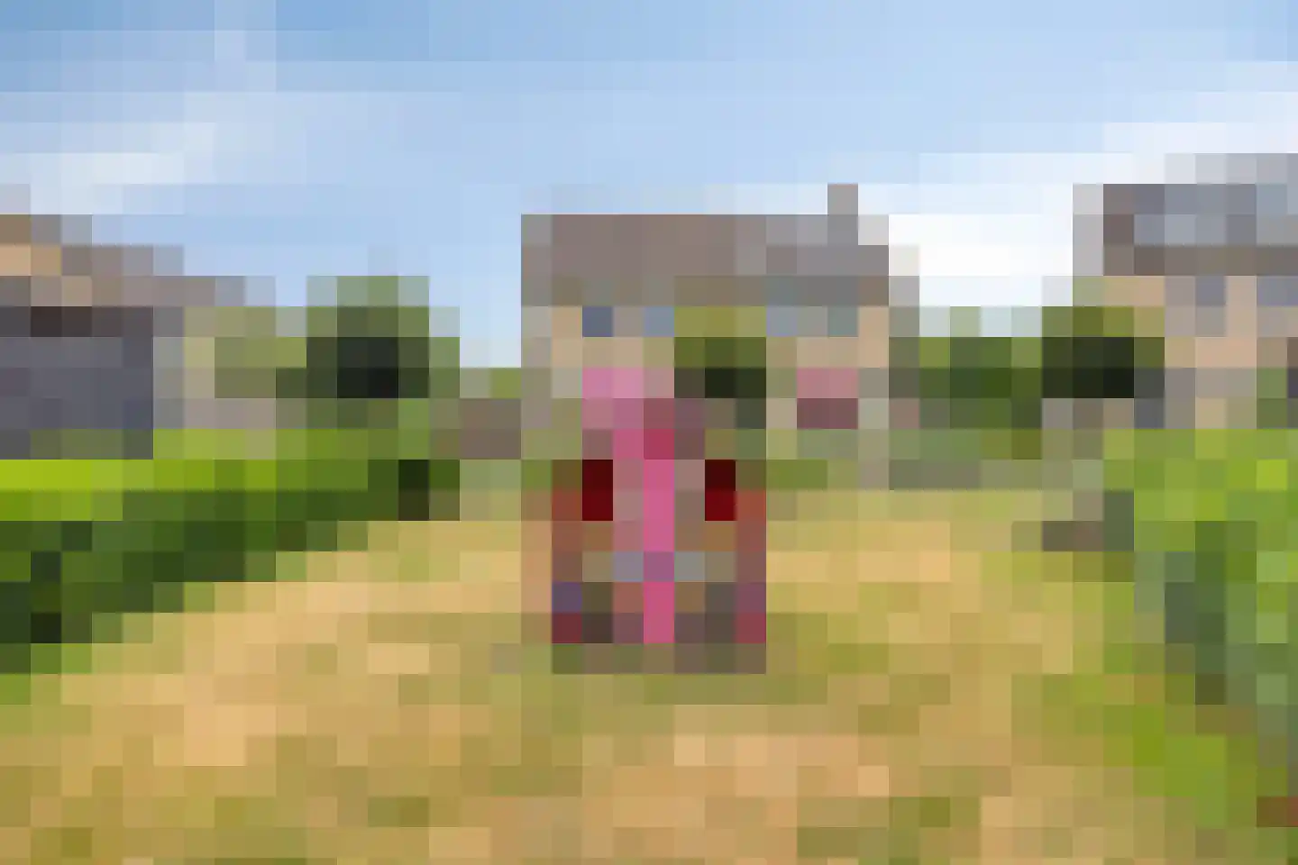 Roskamp 41 Heerde thumbnail 33