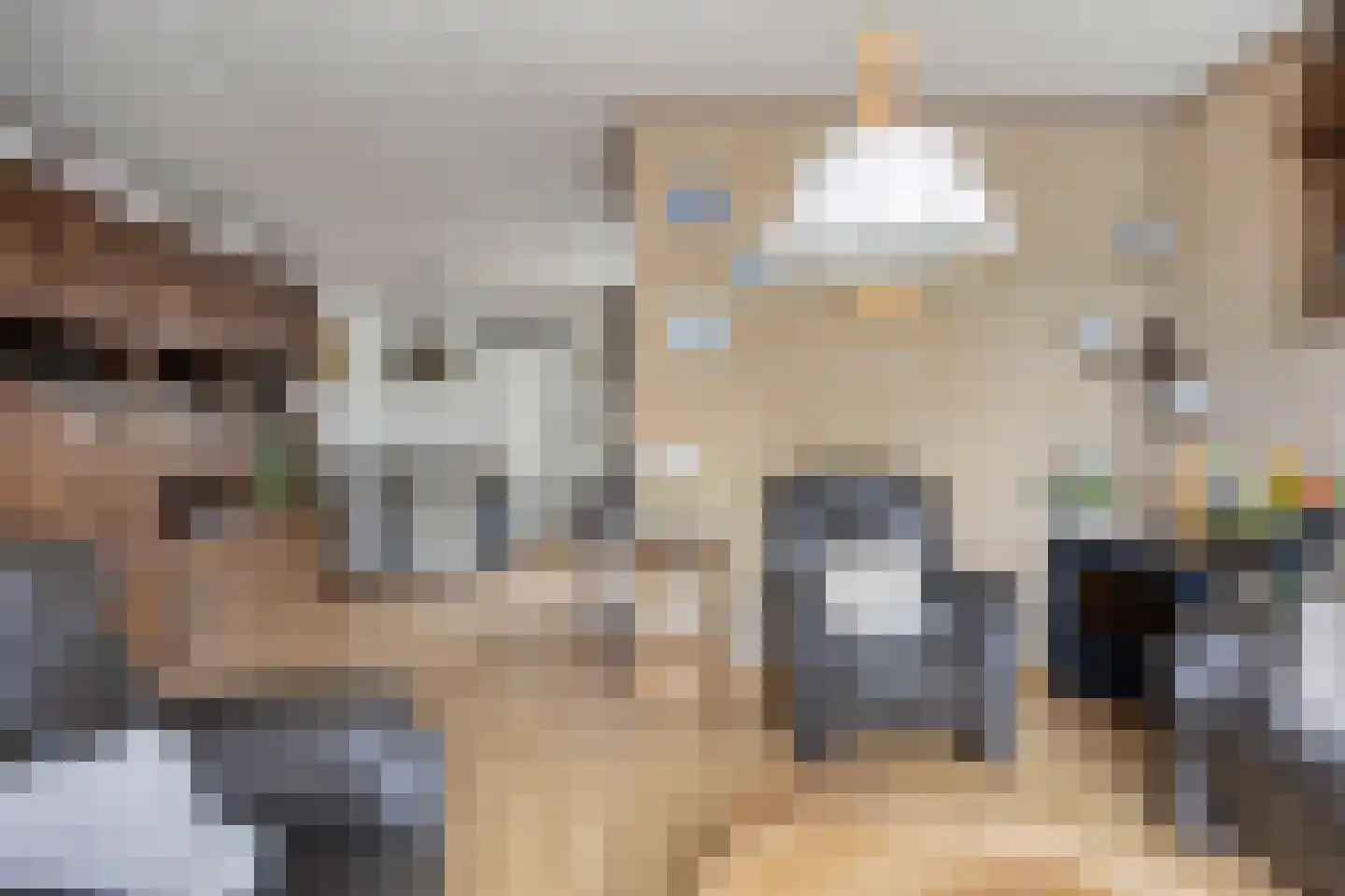 Roskamp 41 Heerde thumbnail 6