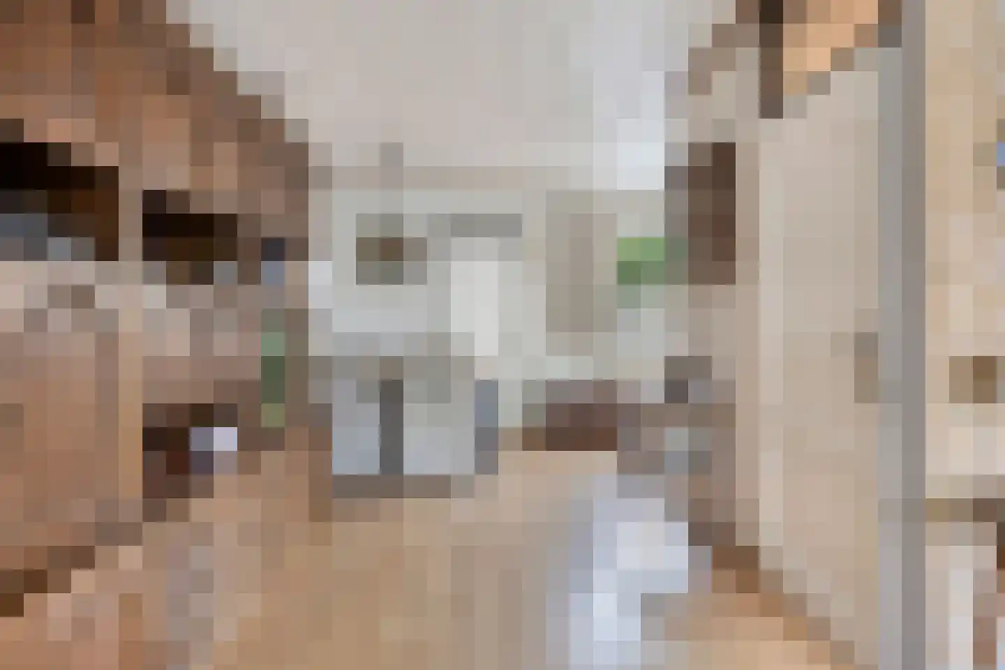 Roskamp 41 Heerde thumbnail 8