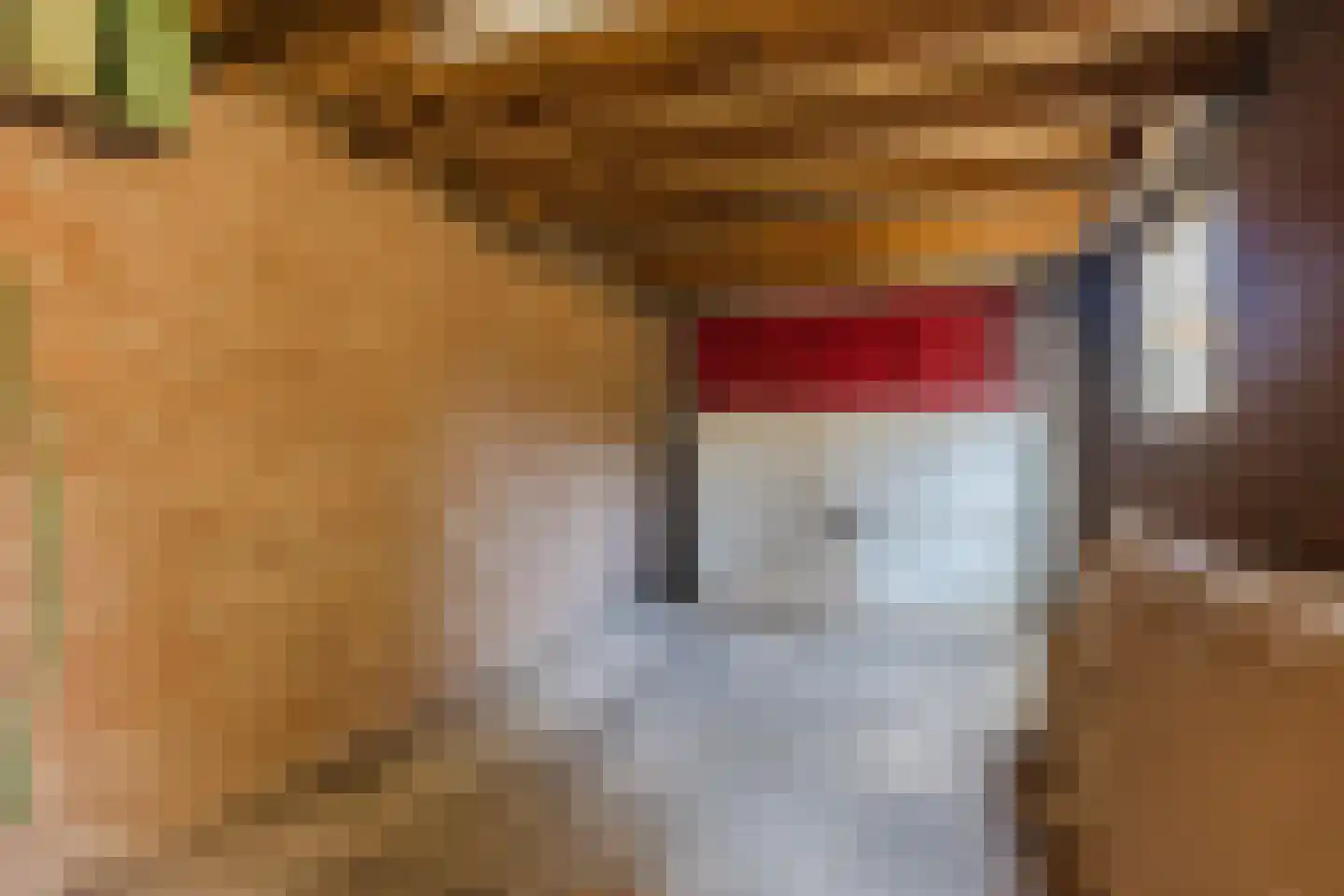 Roskamp 8 Rijen thumbnail 18