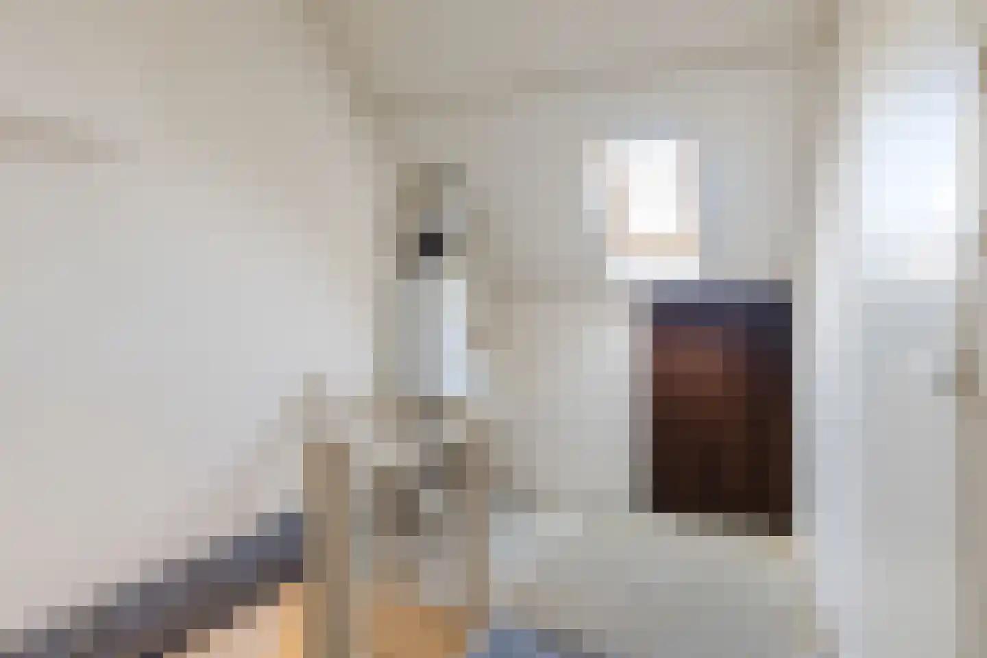 Roskamp 8 Rijen thumbnail 33