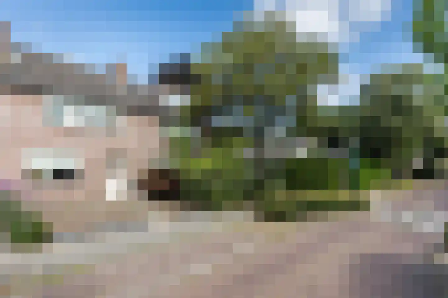 Roskamp 8 Rijen thumbnail 35