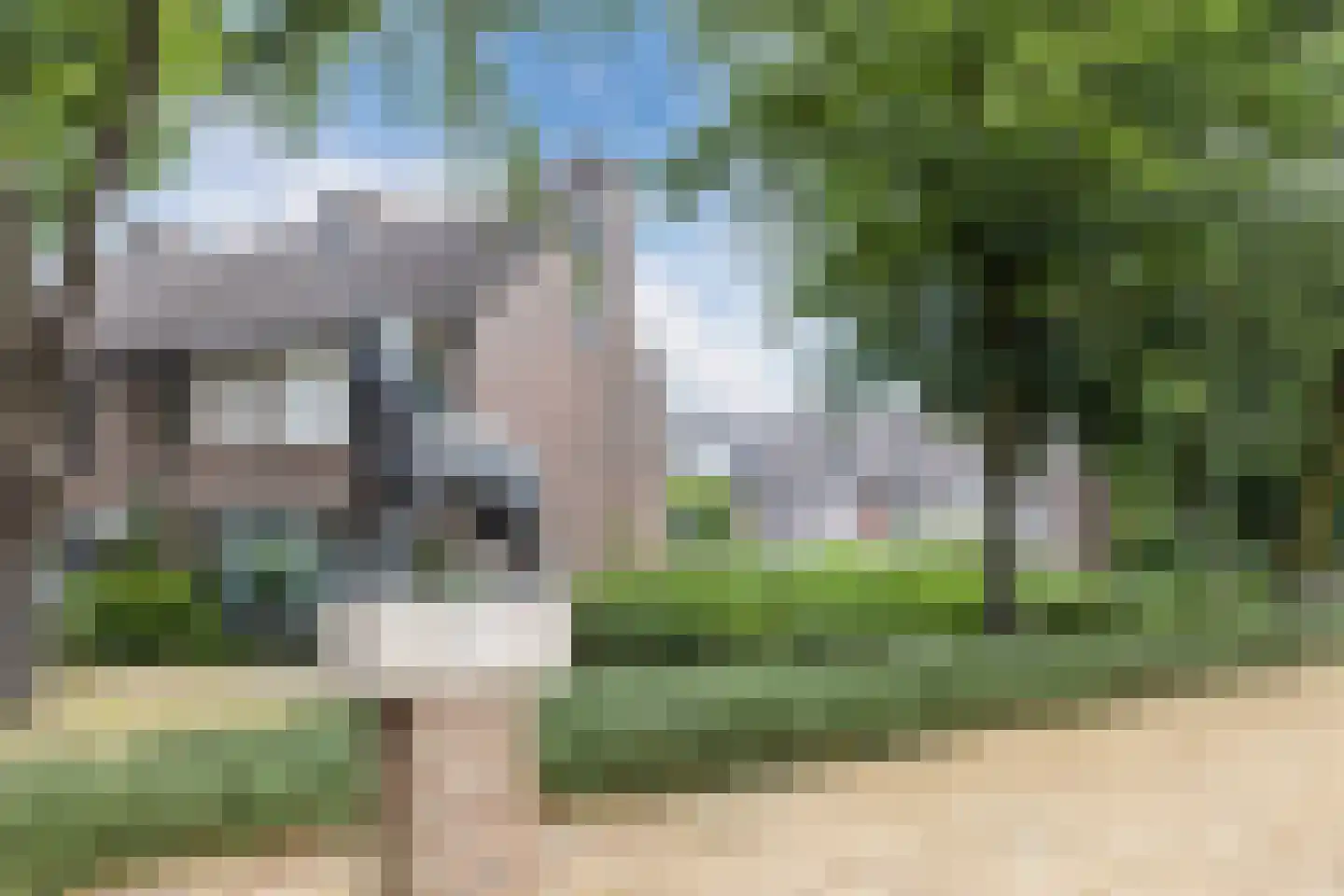 Roskamp 8 Rijen thumbnail 36