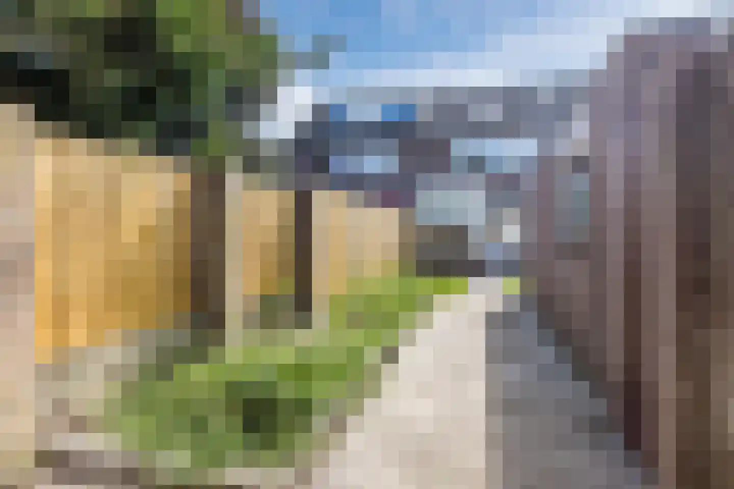 Roskamp 8 Rijen thumbnail 4