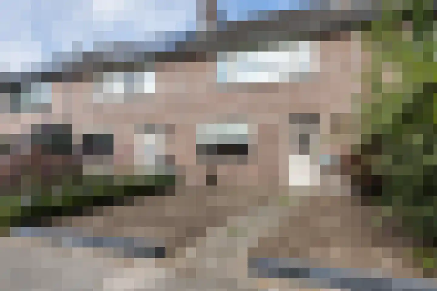 Roskamp 8 Rijen thumbnail 41